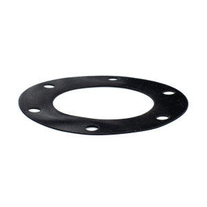 FSV rubber gasket